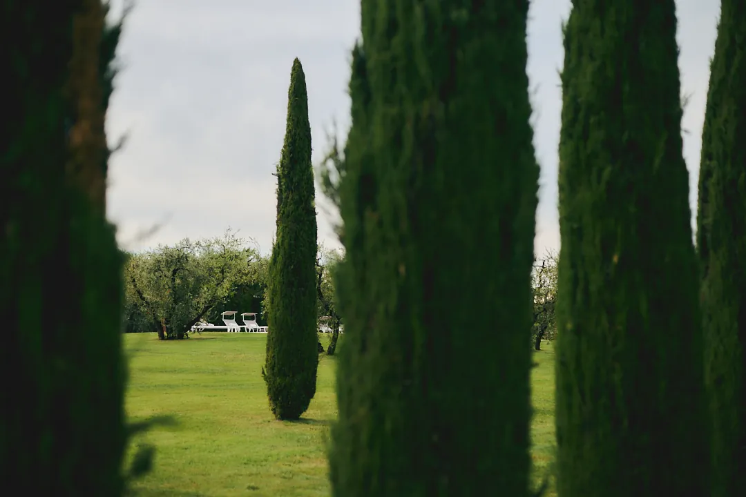 Cypress trees at Villa Niccolai film location in Tuscany
