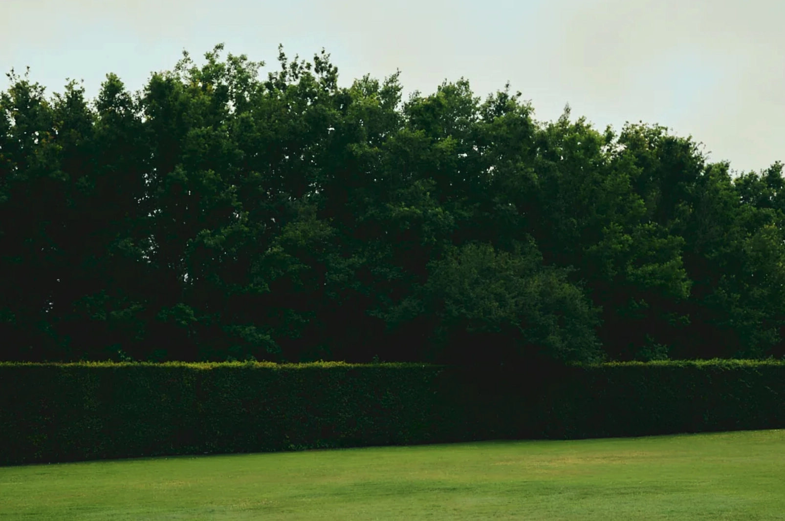 Outdoor film location at Villa Niccolai