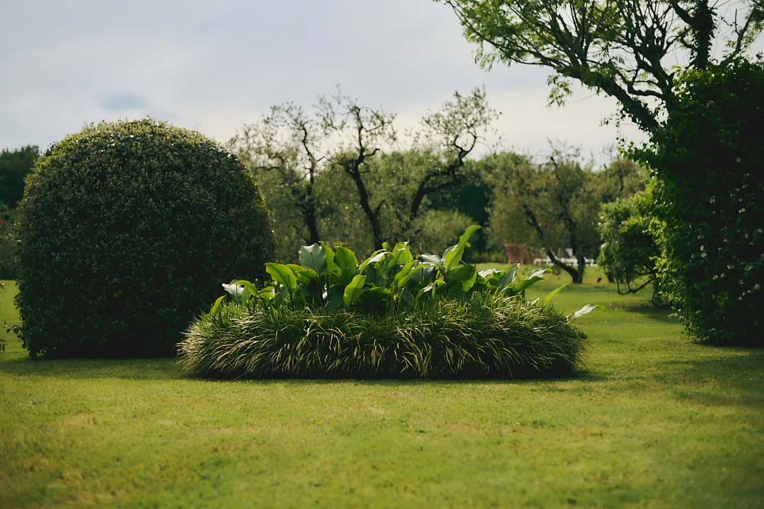 Villa Niccolai garden