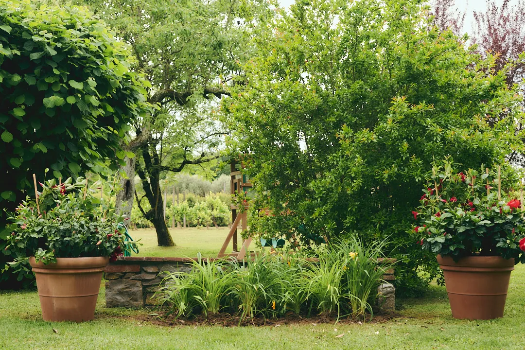 Villa Niccolai swimming pool