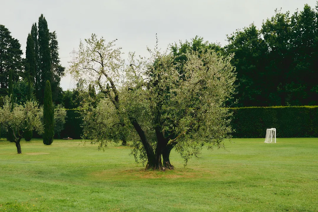 Villa Niccolai garden