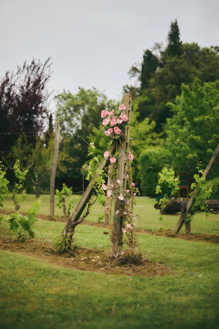 Tuscan countryside around Villa Niccolai