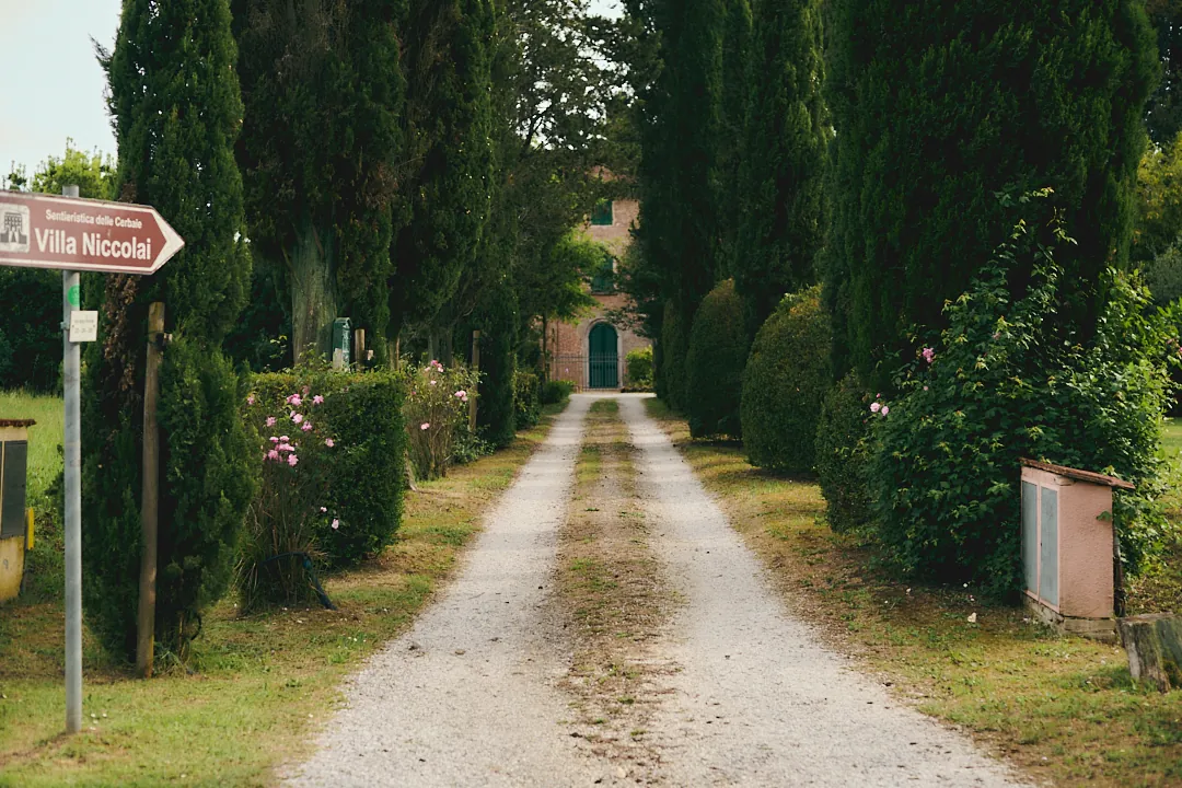 Cypress-lined entrance to Villa Niccolai